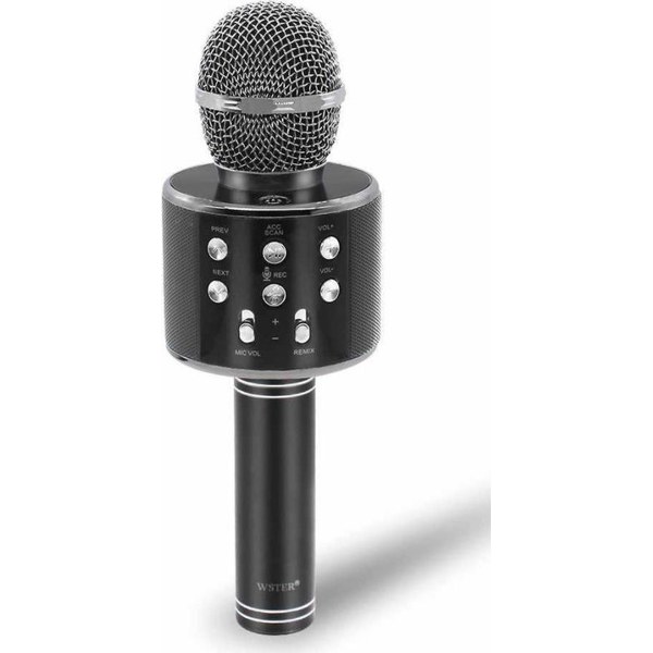 Wster WS-858 — микрофон-колонка (BT беспроводной)